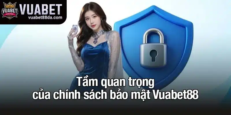 Lý do chính sách bảo mật được Vuabet88 đề ra