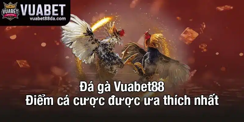 Đá gà Vuabet88 - Điểm cá cược được ưa thích nhất